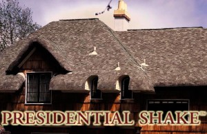 Presidential Shake
